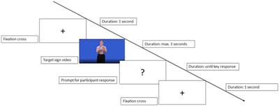 Breaking Into Language in a New Modality: The Role of Input and Individual Differences in Recognising Signs